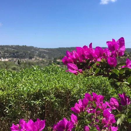 Wunderschoene Ruhige Mit Pool In Galilea